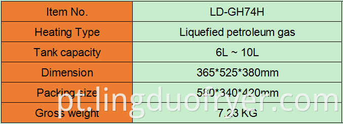 6l Gas Fryer Product Details